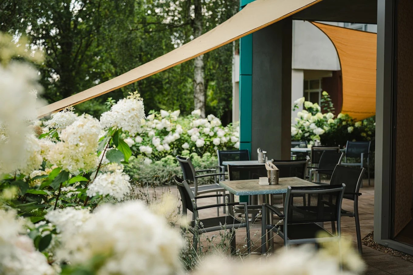 Novinky - Restaurace SANUS